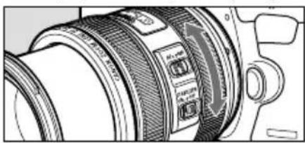 CANON EF24-70mm 4/4L IS USM - Close-upfotografie - 2