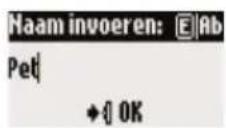 PHILIPS Onis 380 Duo Vox - Tekstinvoer - 9