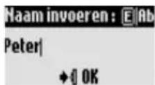 PHILIPS Onis 300 Vox - Grote letters - 15