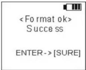 Success ENTER->[SURE]