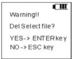 Warning!! Del Select file? YES-> ENTER key NO -> ESC key
