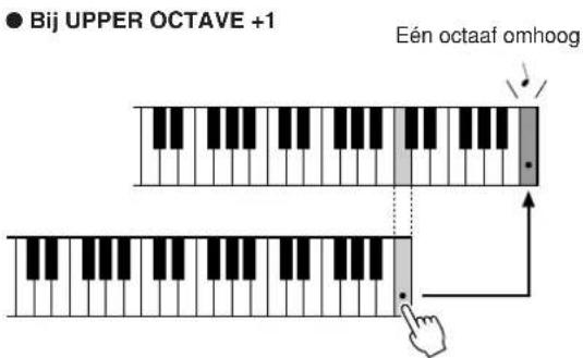 ● Bij UPPER OCTAVE +1 Eén octaaf omhoog