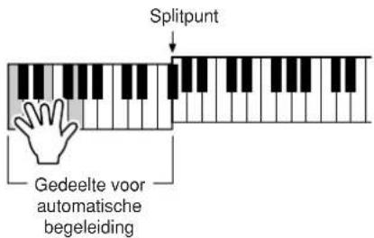Splitpunt Gedeelte voor automatische begeleiding