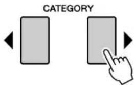 CATEGORY