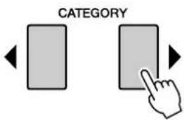CATEGORY