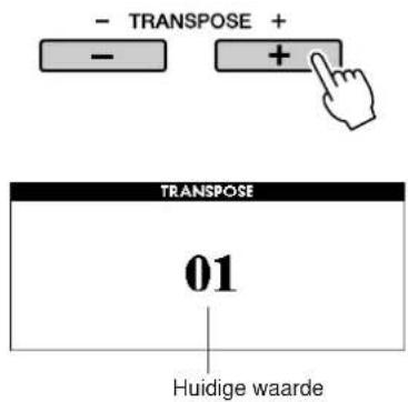 - TRANSPOSE + - + TRANSPOSE 01 Huidige waarde