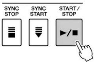 SYNC STOP SYNC START START/ STOP