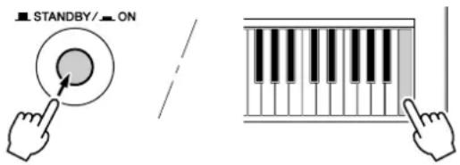 YAMAHA PSR-S550 - OPMERKING - 1