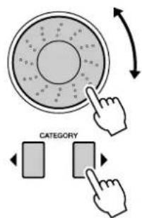 CATEGORY
