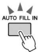 YAMAHA PSR-S550 - ●AUTO Fill-in-sectie - 2