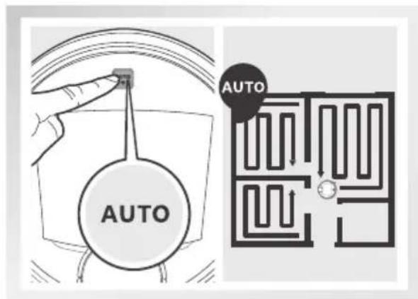 AUTO AUTO