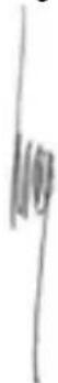 PowerPlus POWX0042LI - CONFORMITEITSVERKLARING - 3