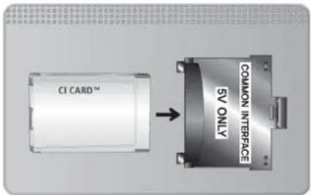 CI CARD™ COMMON INTERFACE SV ONLY