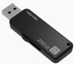 TOSHIBA 256GB 3.9