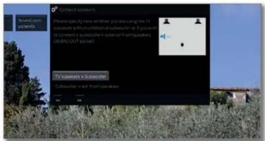 LOEWE Bild 2.55 OLED - Geluidsweergave via... – Luidsprekersysteem (AUDIO OUT) - 1