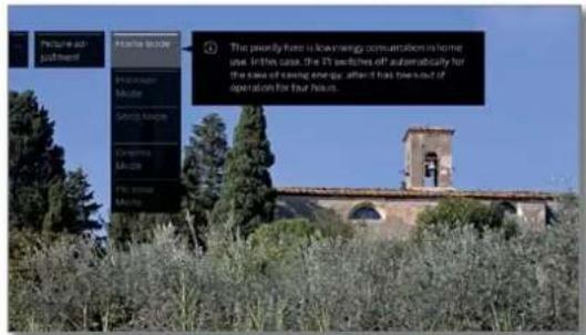 LOEWE Bild 2.55 OLED - Aanpassing beeld oproepen - 3