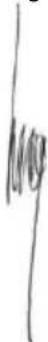 PowerPlus POWXG6461 - CONFORMITEITSVERKLARING - 3