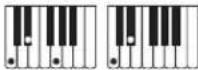 CASIO Tone CT-S100 - Vingerzettinggids - 4