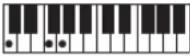 CASIO Tone CT-S100 - OPMERKING - 25