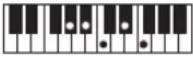 CASIO Tone CT-S100 - OPMERKING - 213