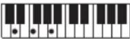 CASIO Tone CT-S100 - OPMERKING - 9
