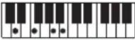 CASIO Tone CT-S100 - OPMERKING - 111