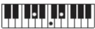 CASIO Tone CT-S100 - OPMERKING - 117