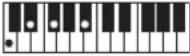 CASIO Tone CT-S100 - OPMERKING - 55
