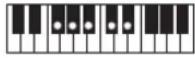 CASIO Tone CT-S100 - OPMERKING - 211