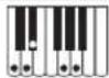 CASIO Tone CT-S100 - Vingerzettinggids - 27