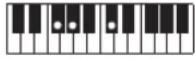 CASIO Tone CT-S100 - OPMERKING - 145
