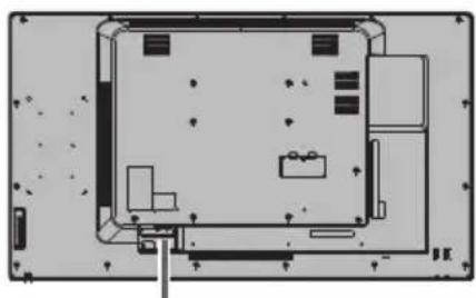 PANASONIC TH-65SF2E - AC cord connection and fixing / Cable fixing - 1
