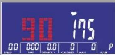90 175 0.0 0:00 0.0 0 0 P SPEED TIME RATE DISTANCE X CALORIES WATT PULSE