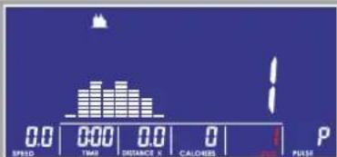 0.0 0.00 0.0 0 SPEED TIME DISTANCE x CALOHEBS PULSE 1