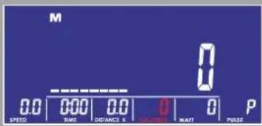 M 0 0.0 0.00 0.0 0 0 P SPEED TIME DISTANCE WATT PULSE