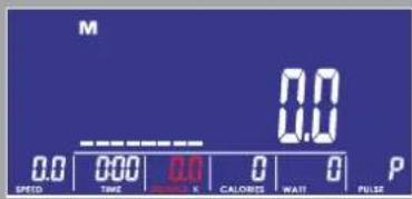 M 0.0 0.0 0.0 0 0 P SPEED TIME VOLTAGE K CALORIES WATT PULSE