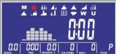 M H A A W U 0:00 0:00 0.0 TIME DISTANCE CALORIES WATT P SPEED 0.0 0.0 0 0 P