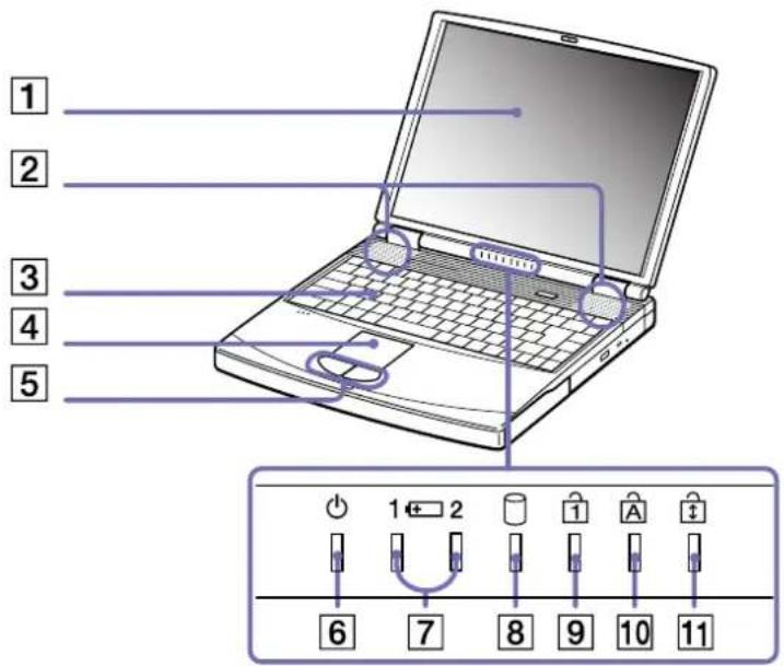 1 2 3 4 5 6 7 8 9 10 11