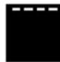 SMEG CPF9GMRNLK - Automatische programma's - 18