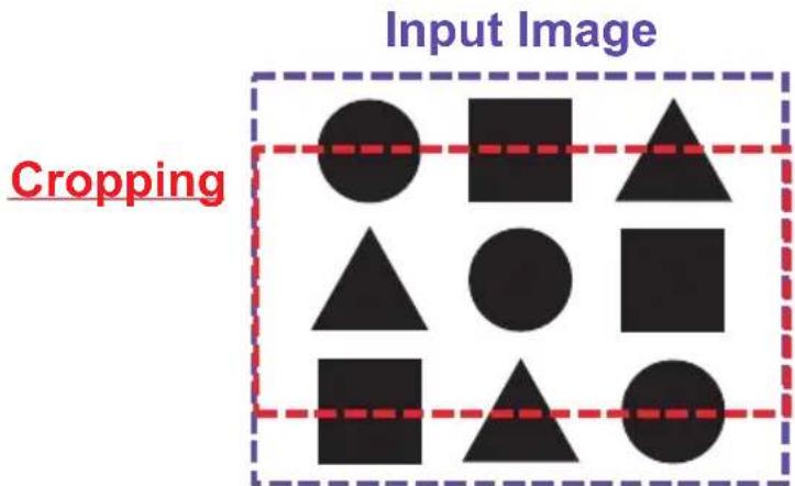 Input Image Cropping