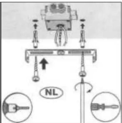 Lucide Cara - 7