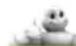 VIAMICHELIN X-960 - Opmerkingen: - 1