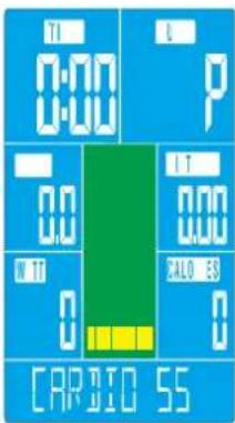 TI 0:00 0:00 P 0.0 IN BT 0 I.T. 0:00 CALO 53 0 CARBIO 55