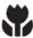 SILVERCREST SBK 35 A1 - Focusmodus instellen - 1