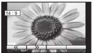 PANASONIC TX-23LX60L - Aspect Controls - 2