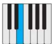 PROPELLERHEAD Reason Lite 11.2 - Pattern - 35
