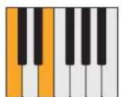 PROPELLERHEAD Reason Lite 11.2 - Pattern - 49