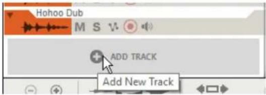 Hahoo Dub M S V ADD TRACK Add New Track