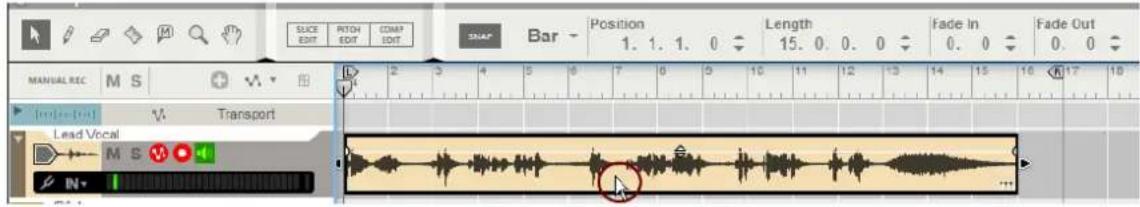 SLICE EDIT PITCH EDIT COMP EDIT BAR Position 1. 1. 1. 0 Length 15. 0. 0. 0 Fade In 0. 0 Fade Out MANUAL REC M S V Transport Lead Vocal M S N ...