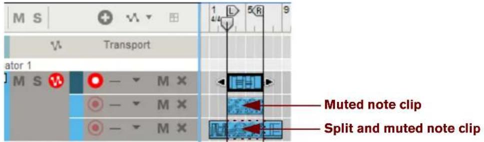 M S Transport ator 1 M S M X M X M X M X M L 5 R 9 Muted note clip Split and muted note clip